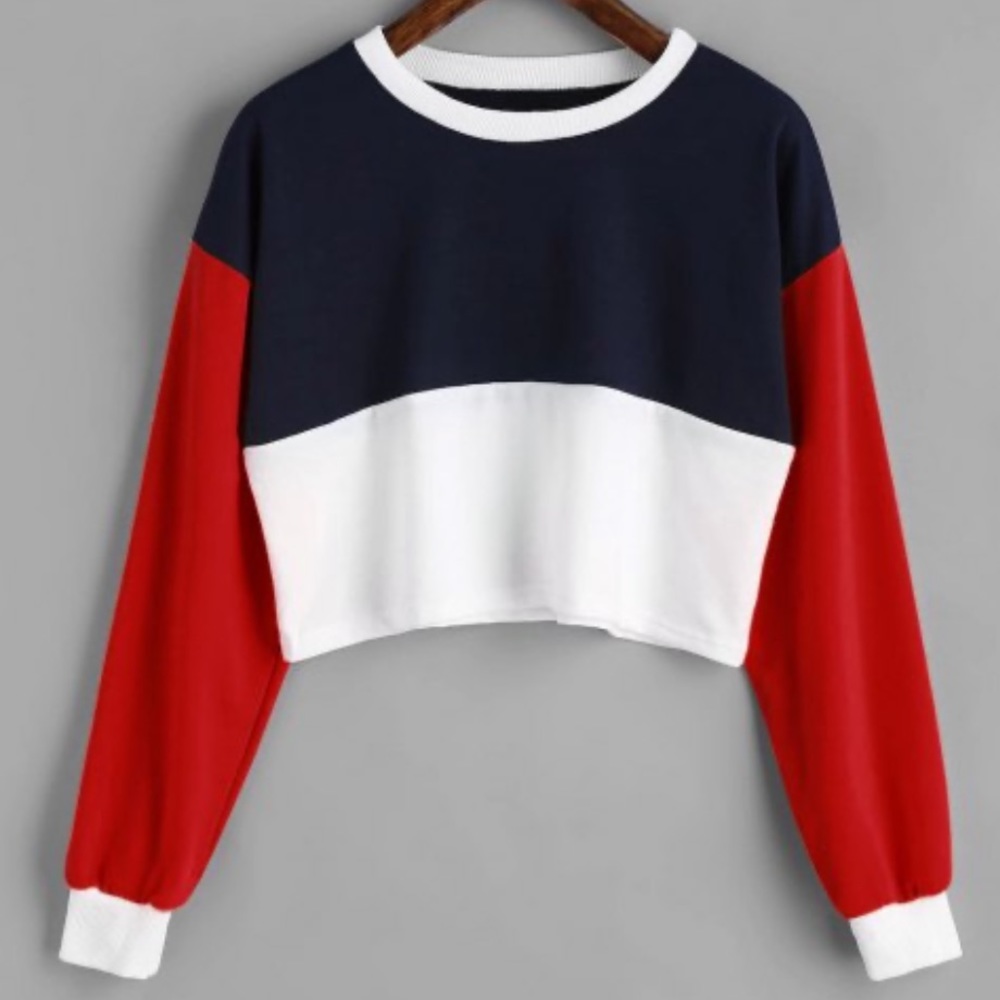 Color Block Cropped Long Sleeve Top